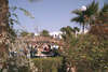 Arabia Beach Resort 
